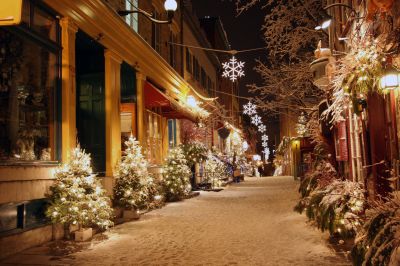 Seasonal Lights Installation in Alpharetta, GA